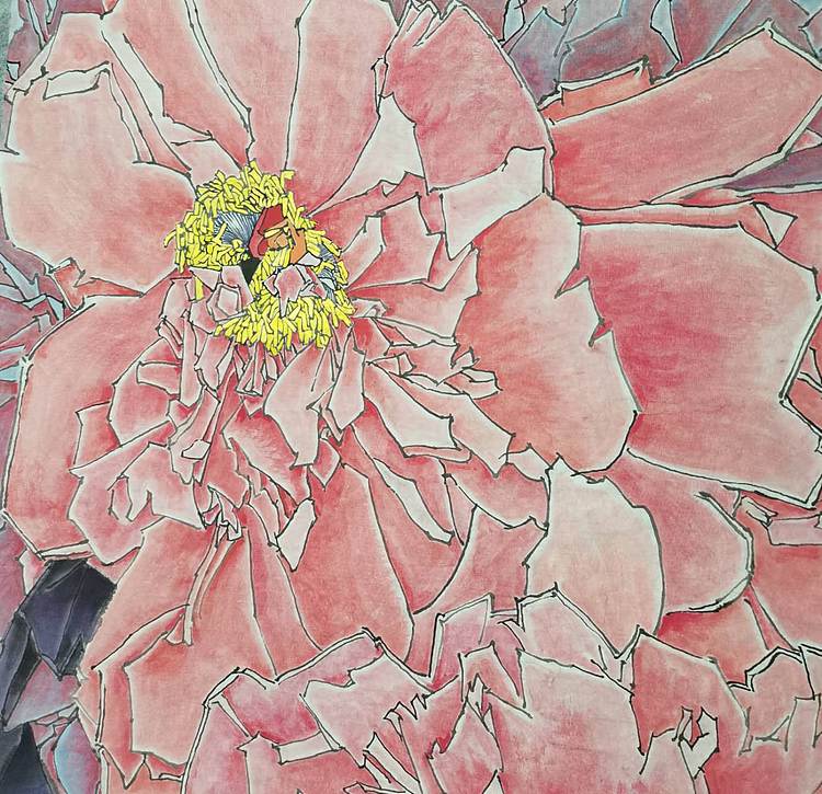 无 《富贵花开》