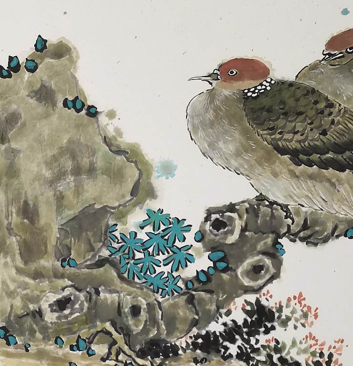 无 《双宿双栖》