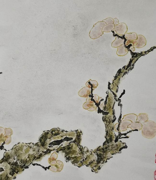 无 《独乐乐》