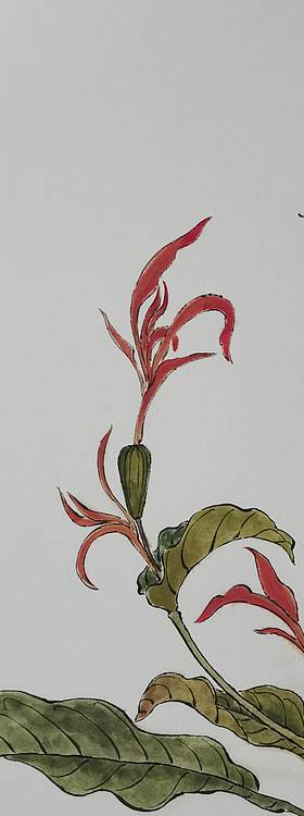 无 《觅得一枝暗香来》