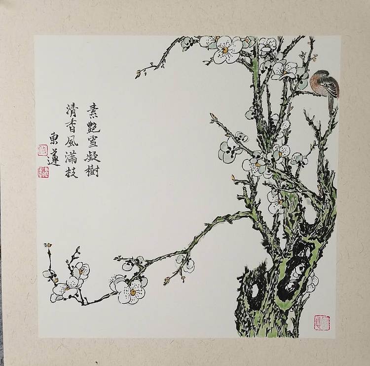 无 《独乐乐》