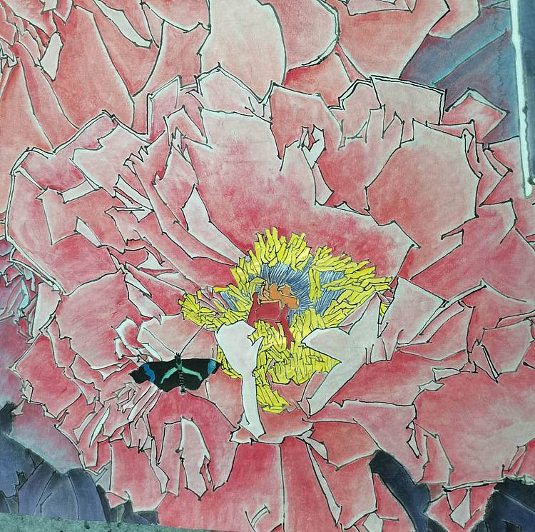 无 《富贵花开》