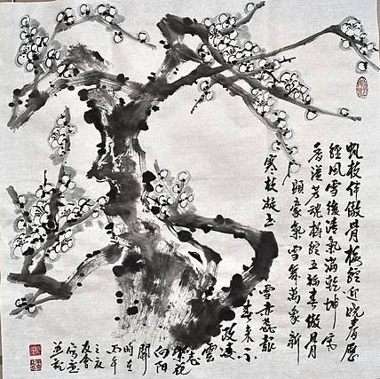 山东省美协会员 闫友会 虬枝伴傲骨