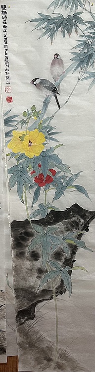 老苍 双栖