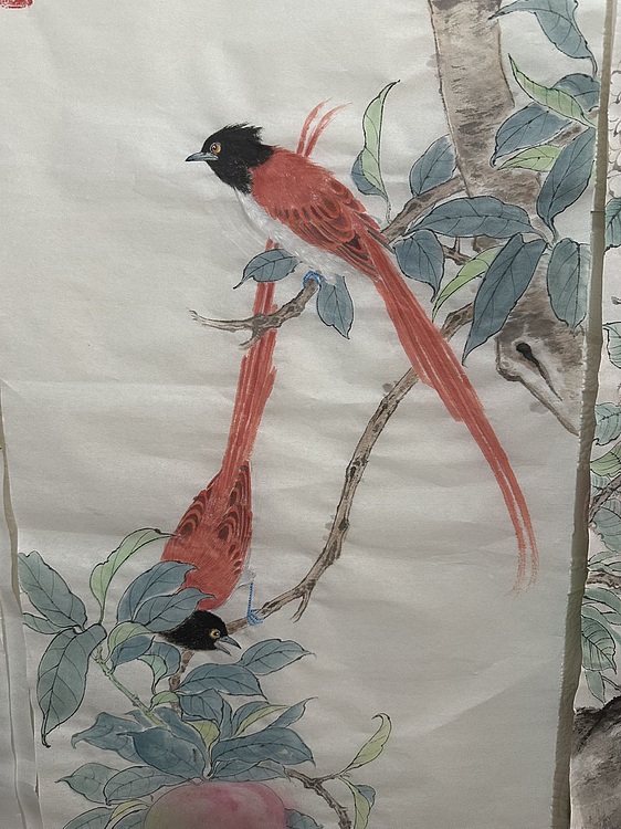 老苍 双寿