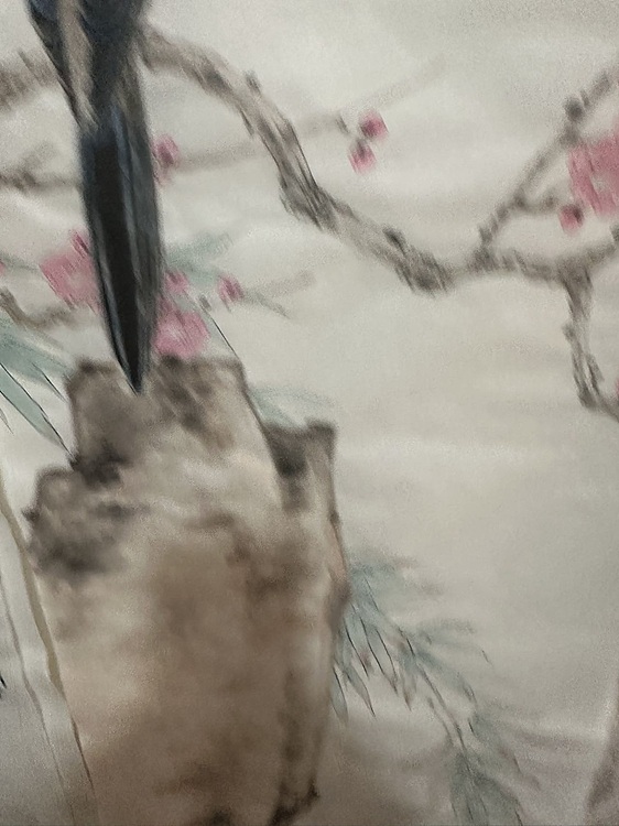 老苍 春意悄悄满枝头