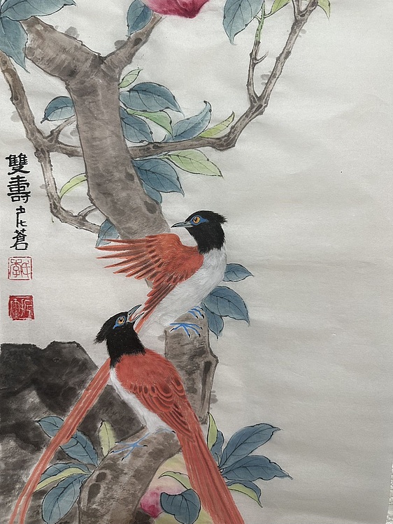 老苍 双寿