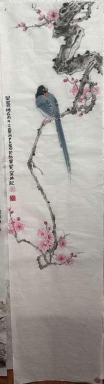 老苍 早春