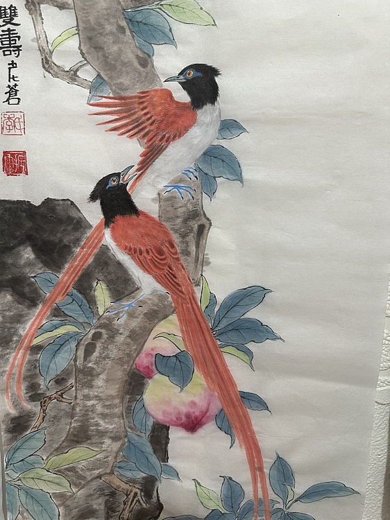 老苍 双寿