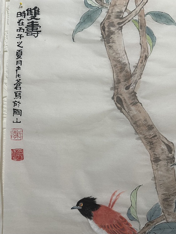 老苍 双寿