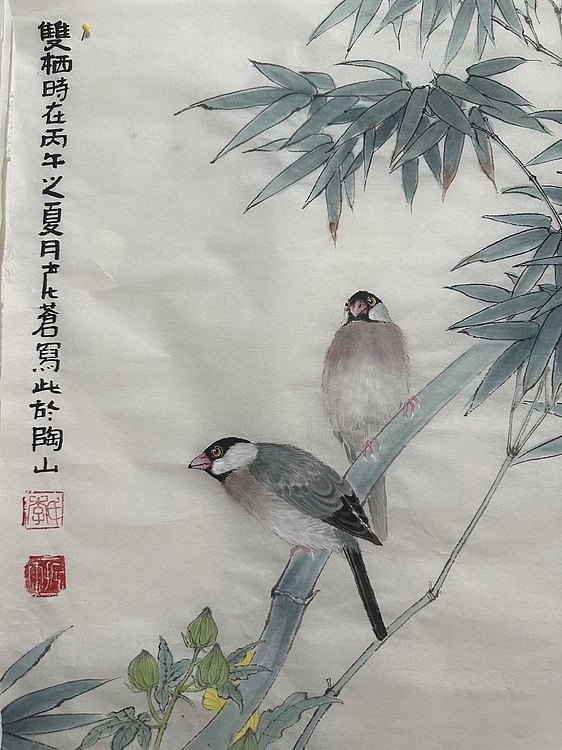 老苍 双栖