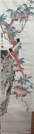 老苍 双寿