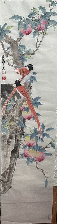 老苍 双寿