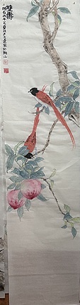 老苍 双寿