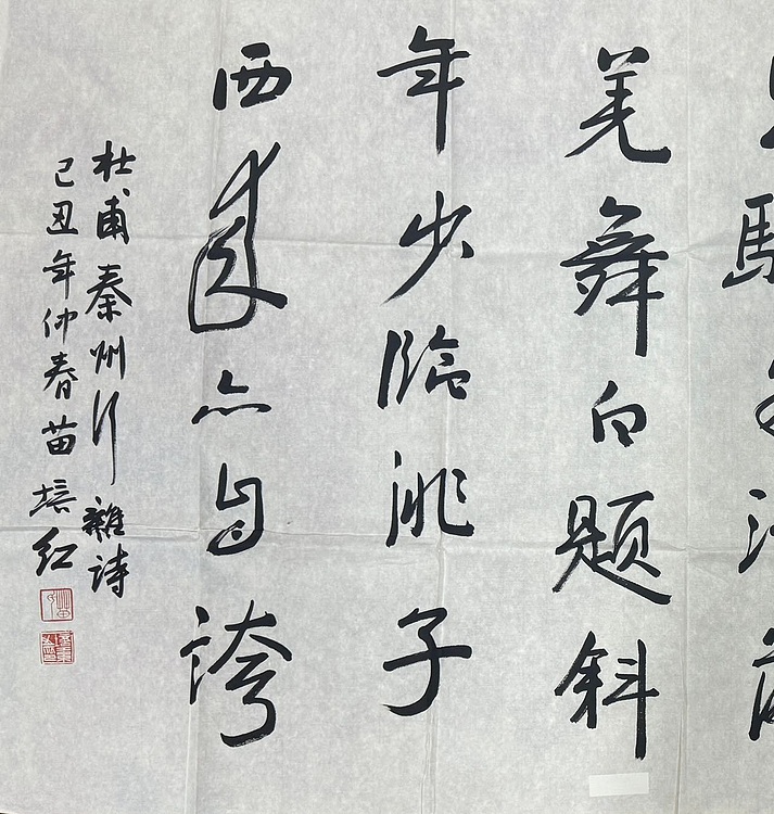 中书协理事 苗培红