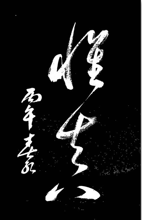 胡春红 《怀真》