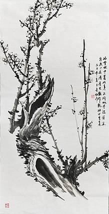 谢长虹 寒香