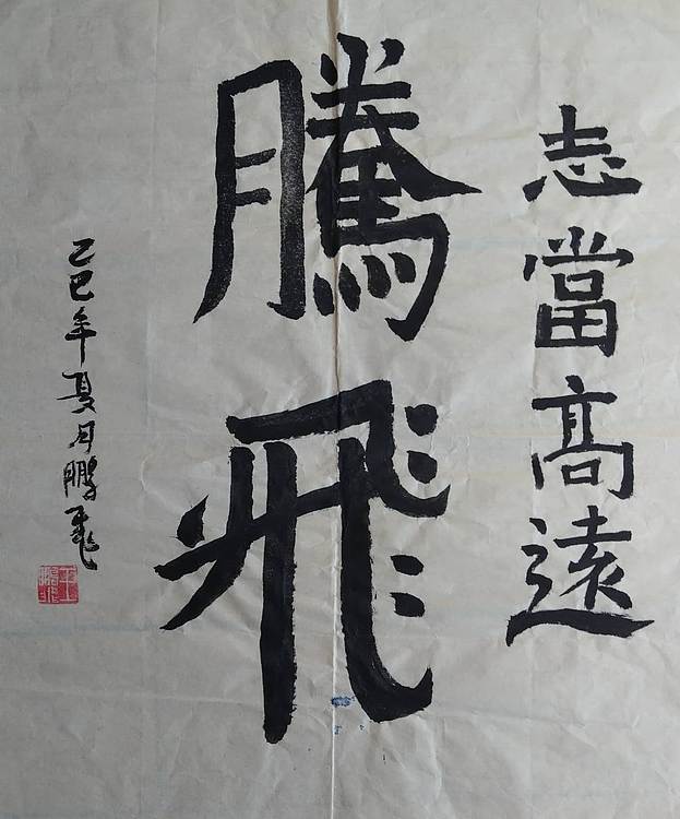 职业书画家 羽翔 腾飞