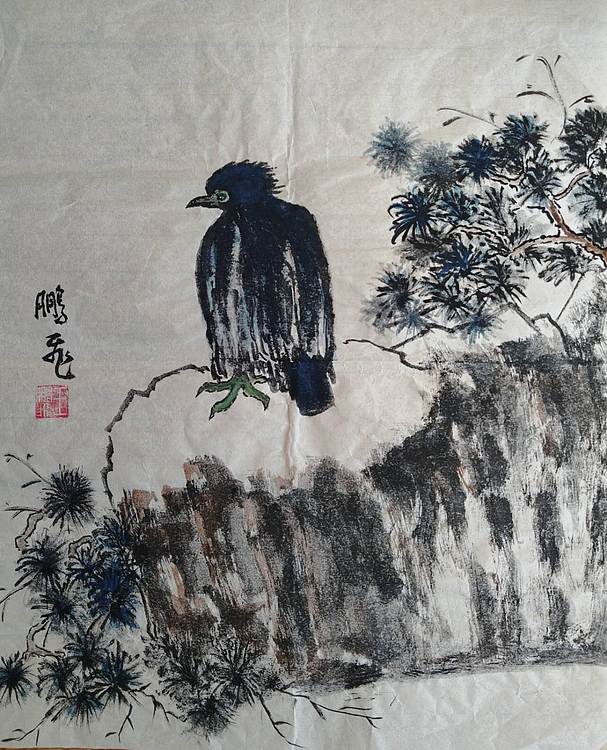 职业书画家 羽翔 鹰