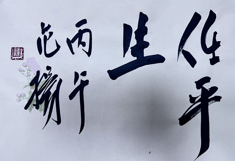 范扬书法 有视频合影