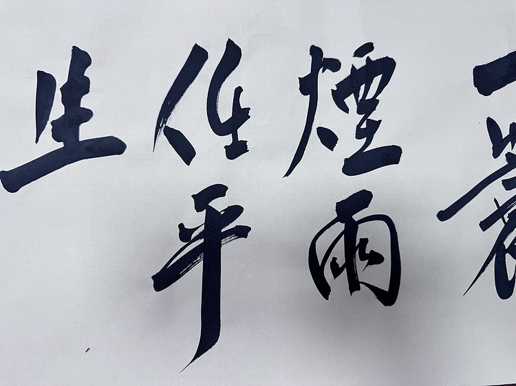 范扬书法 有视频合影