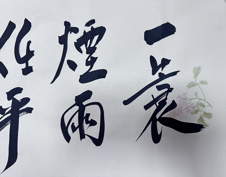 范扬书法 有视频合影
