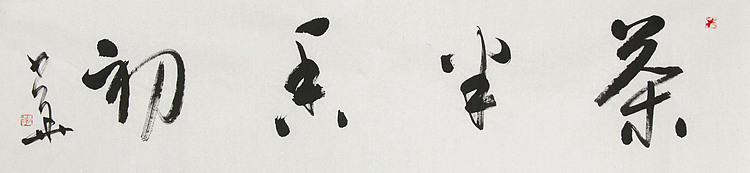 西藏自治区书法家协会副主席、中国书法家协会会员 冯少华 书法 书法