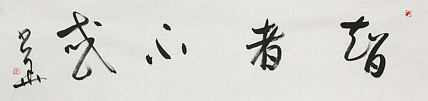 西藏自治区书法家协会副主席、中国书法家协会会员 冯少华 书法 书法