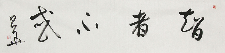 西藏自治区书法家协会副主席、中国书法家协会会员 冯少华 书法 书法