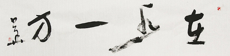 西藏自治区书法家协会副主席、中国书法家协会会员 冯少华 书法 书法