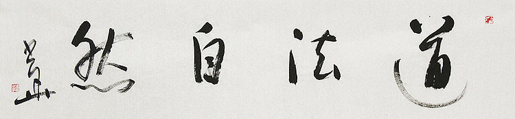 西藏自治区书法家协会副主席、中国书法家协会会员 冯少华 书法 书法