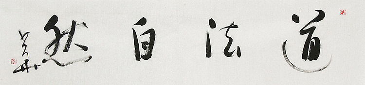 西藏自治区书法家协会副主席、中国书法家协会会员 冯少华 书法 书法