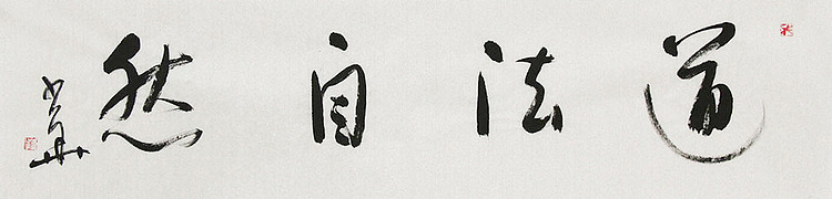 西藏自治区书法家协会副主席、中国书法家协会会员 冯少华 书法 书法