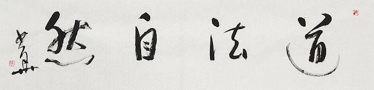 西藏自治区书法家协会副主席、中国书法家协会会员 冯少华 书法 书法