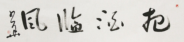 西藏自治区书法家协会副主席、中国书法家协会会员 冯少华 书法 书法