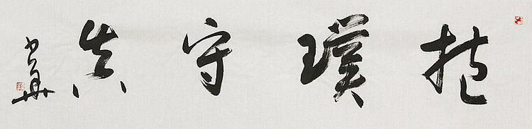 西藏自治区书法家协会副主席、中国书法家协会会员 冯少华 书法 书法