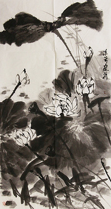 职业画家 国画作品 花鸟 国画