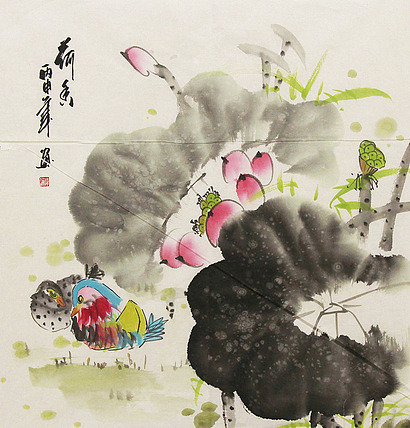 花鸟